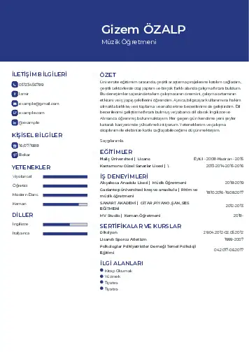 Müzik Öğretmeni Cv Örnekleri cv indir